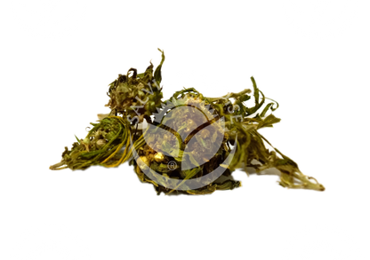 Hemp CBD tincture 50 ml