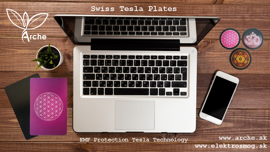 slide /fotky18075/slider/Swiss-Tesla-plates-1.jpg